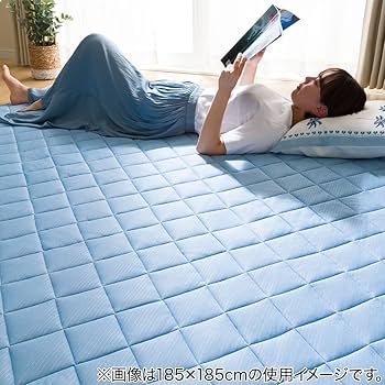 【新品】ニトリ 洗える接触冷感キルトラグ BE Nクールキルト　185X240 洗える接触冷感キルトラグ(NクールBH GY 185X185) | ニトリ